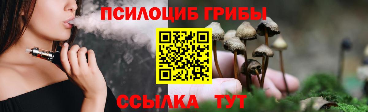 Сарапул  Псилоцибиновые грибы Cubensis  Вход с VPN 